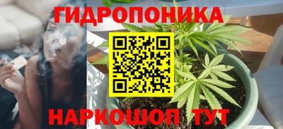 прущие крисы Краснокаменск